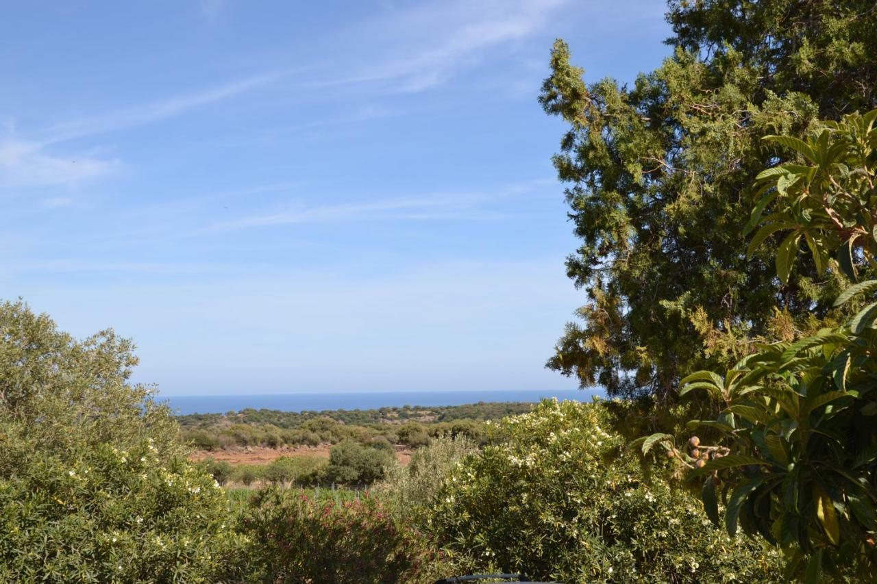 Casa Indipendente Immersa Nel Verde Con Vista Mare Dorgali Exterior photo